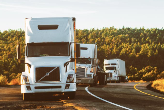 자동차 종합검사 과태료