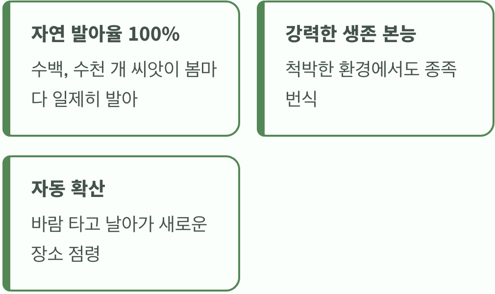 무서운 번식력의 비밀