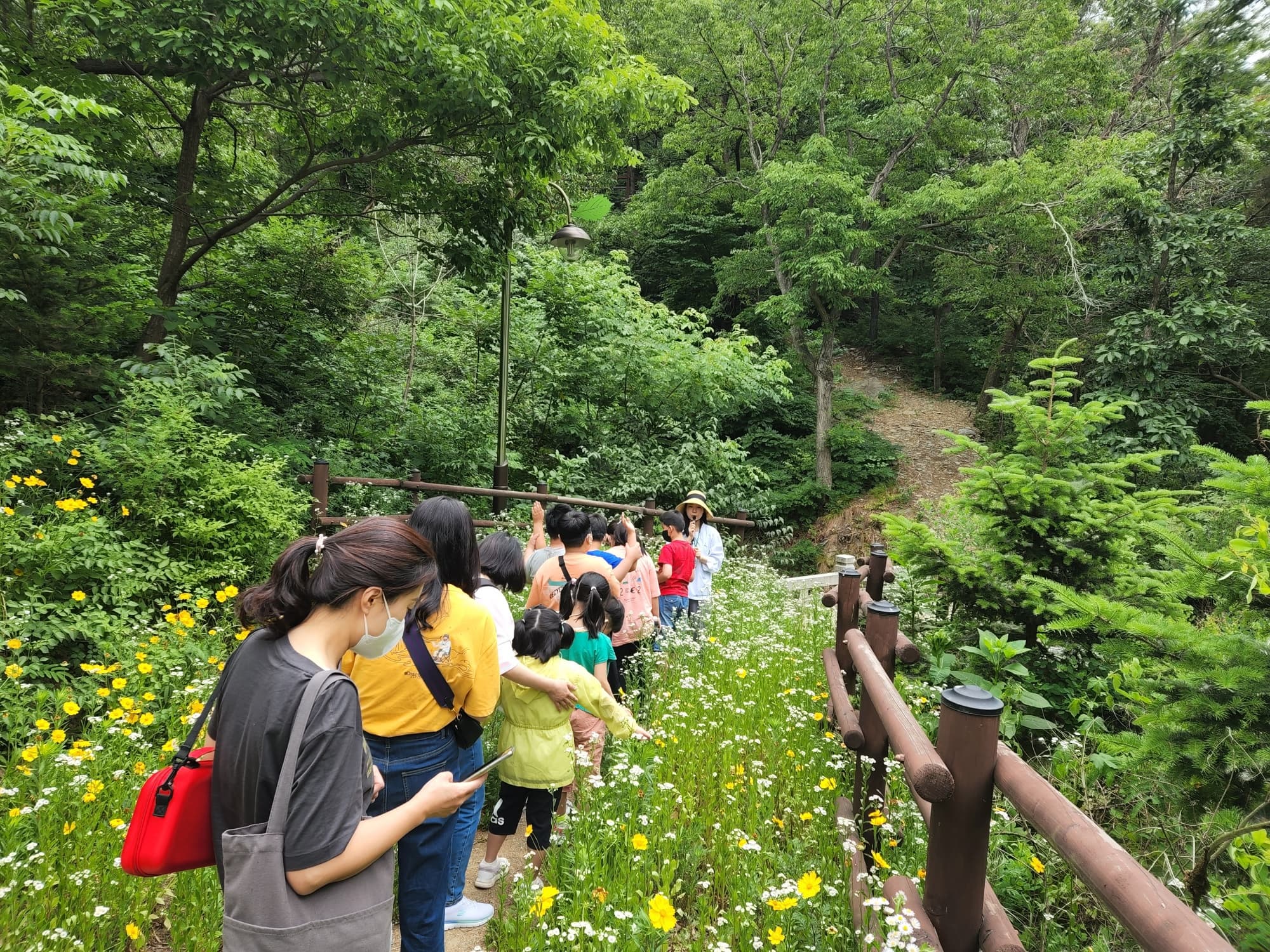면역력을 높이는 천연 수프와 건강식 레시피