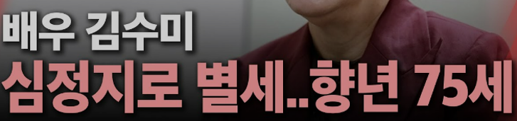 배우 김수미 별세 사망 프로필 대표 출연 작품