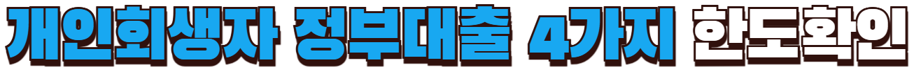 개인회생자 정부지원대출 한도확인