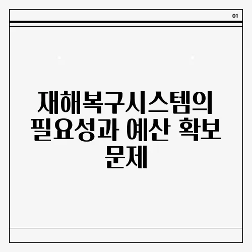 재해복구시스템의 필요성과 예산 확보 문제