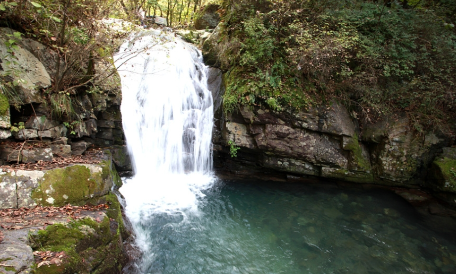 계곡의 정수, 강원도 인제 &lsquo;용소계곡&rsquo; &ndash; 숲과 물, 그리고 고요함