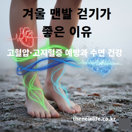 겨울철 맨발 걷기가 고혈압과 고지혈증 예방, 수면 건강 개선에 도움이 되는 과정을 표현한 이미지