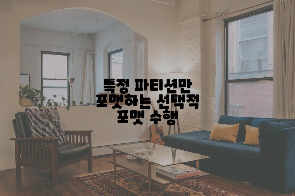 특정 파티션만 포맷하는 선택적 포맷 수행