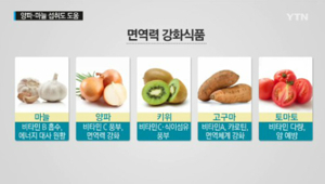 면역력에 좋은 비타민