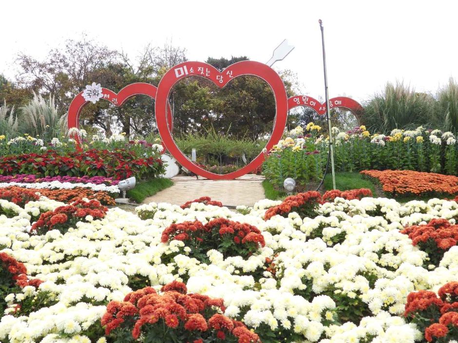 10월 지역 축제 가을 축제