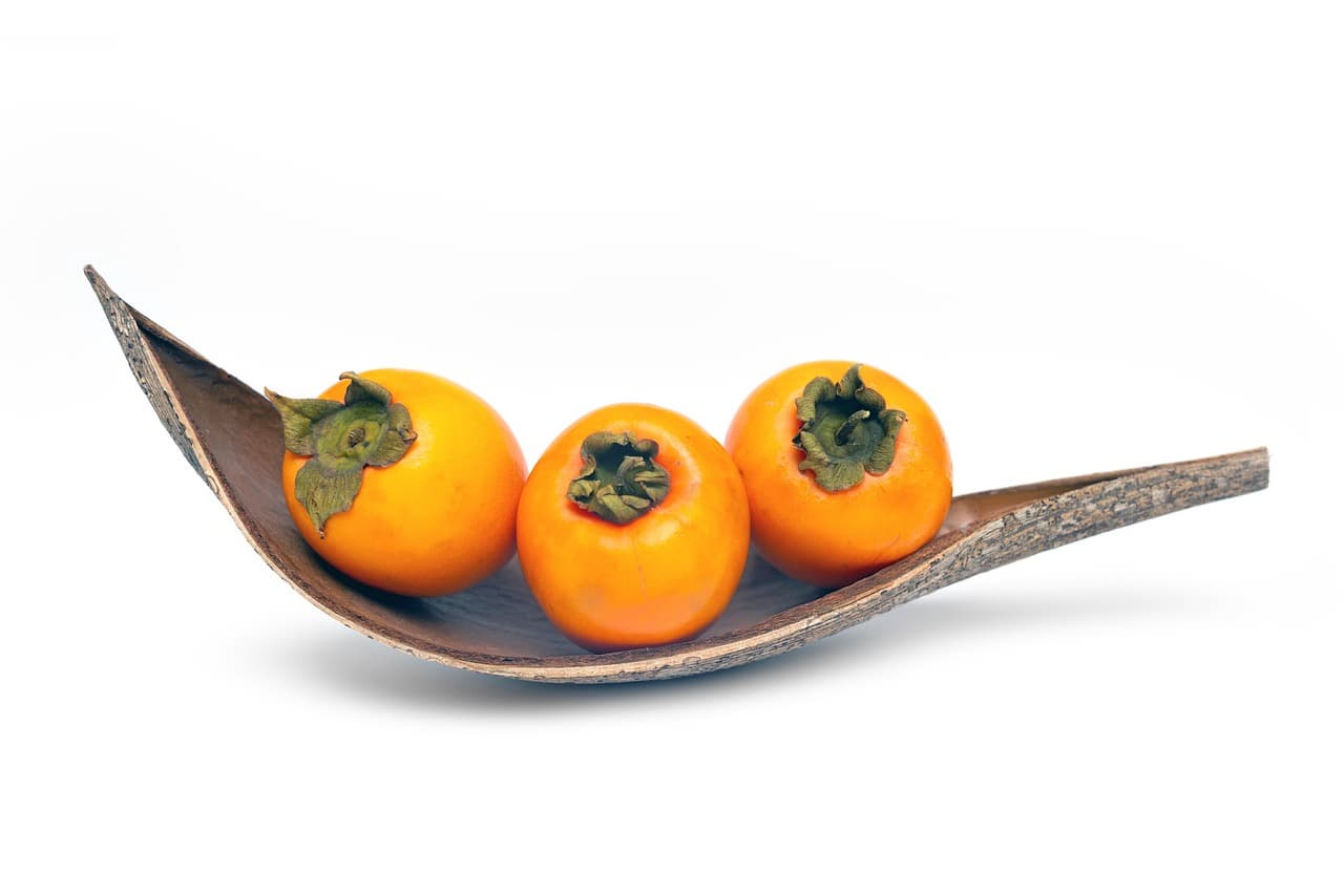 가을의 선물 &quot;감&quot;