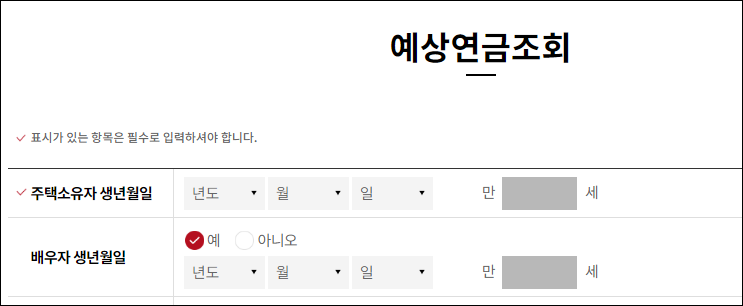 생년월일 입력