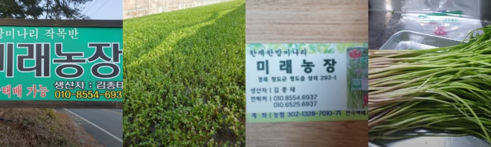 생생정보통 오늘방송(2월 24일) 태능집,369활어회,미래농장,청도레일바이크,태경발효 연농장