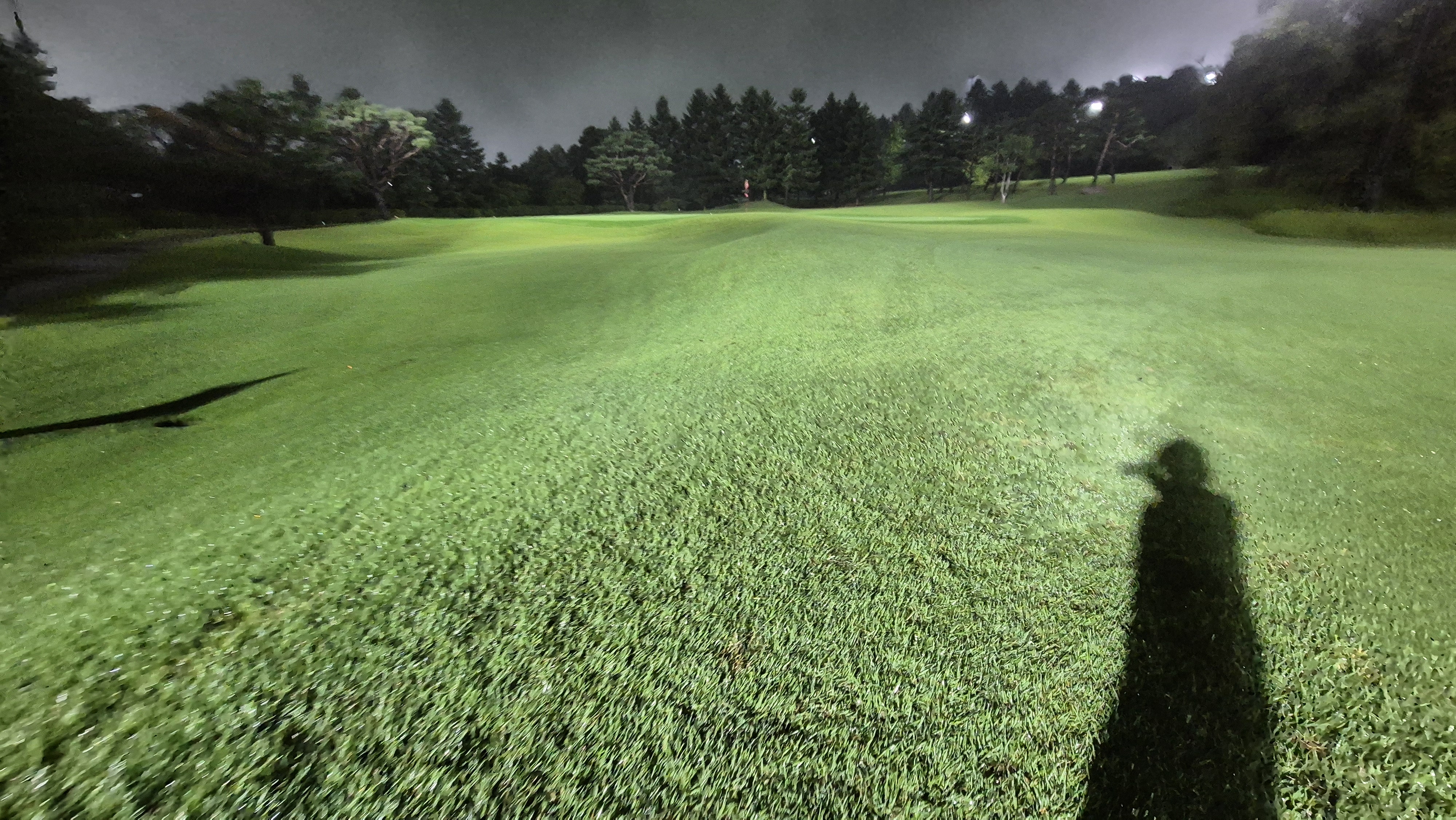 블루원용인cc 코스 관리 상태