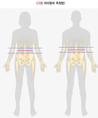 55사이즈 66사이즈 허리둘레 치수 재는법_12