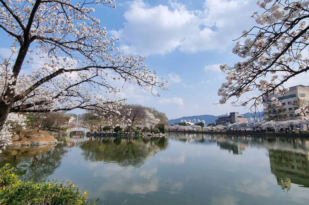 연화지