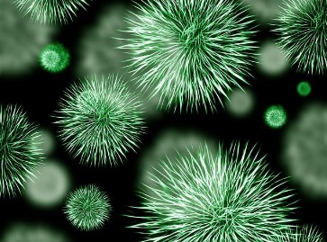 보건증 인터넷 발급