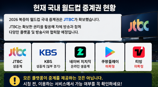 월드컵 어디서 보나? 쿠팡플레이·네이버 치지직·티빙 OTT 중계권 총정리2