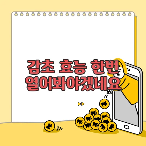 감초 효능 한번 열어봐야겠네요