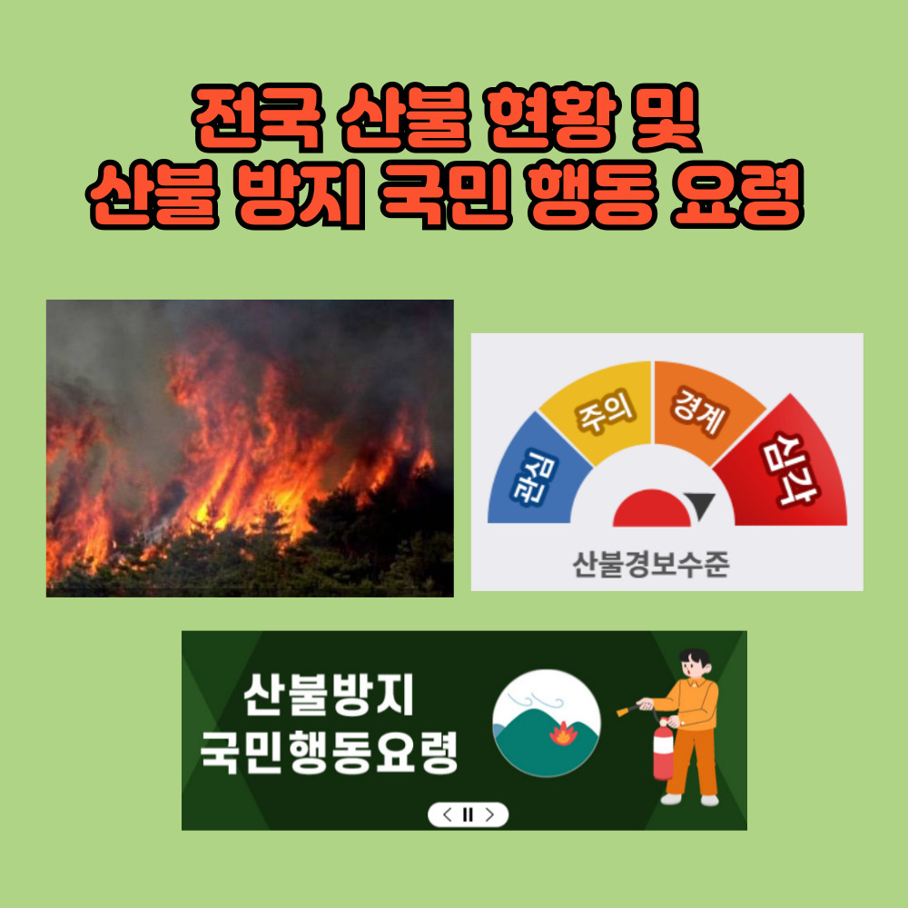 전국 산불 현황 및 산불 방지 국 민행동 요령 산림청 홈페이지 바로가기