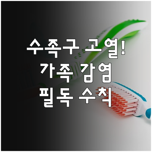 수족구병 고열 대처와 가족 간 감염 ..