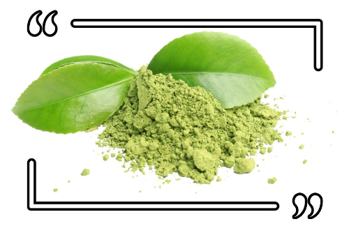 고혈압에 좋은 차