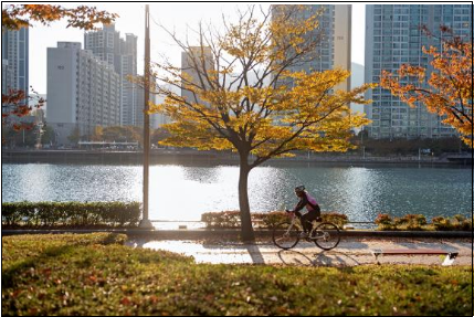 서울-따릉이-부산-타반나-대여방법-요금안내-회원가입-안내-교통비절약-운동다이어트