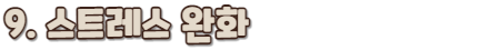 팽이버섯 효능_소제목9