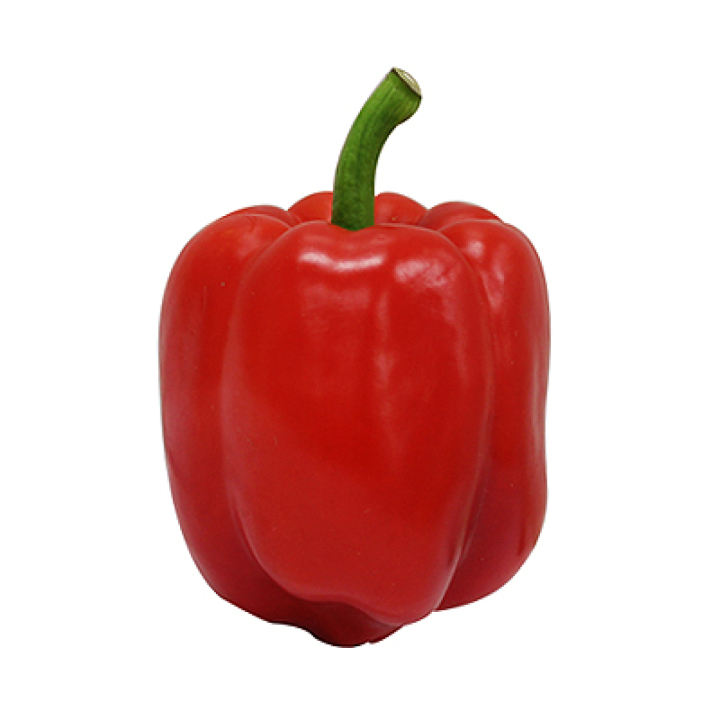 파프리카
