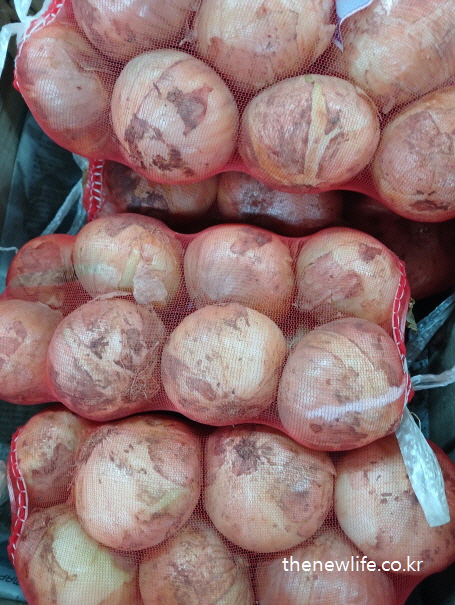 Korean onions in red mesh bags, a healthy food for reducing belly fat/붉은 망에 담긴 국내산 양파, 복부비만에 좋은 채소