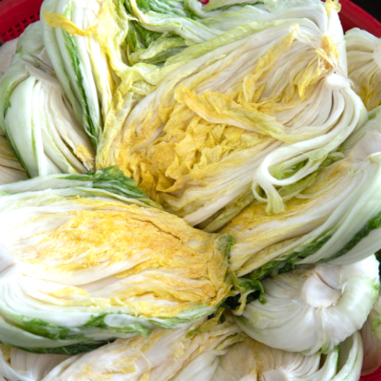 이마트 절임배추 사전예약 20kg 가격 할인 혜택6