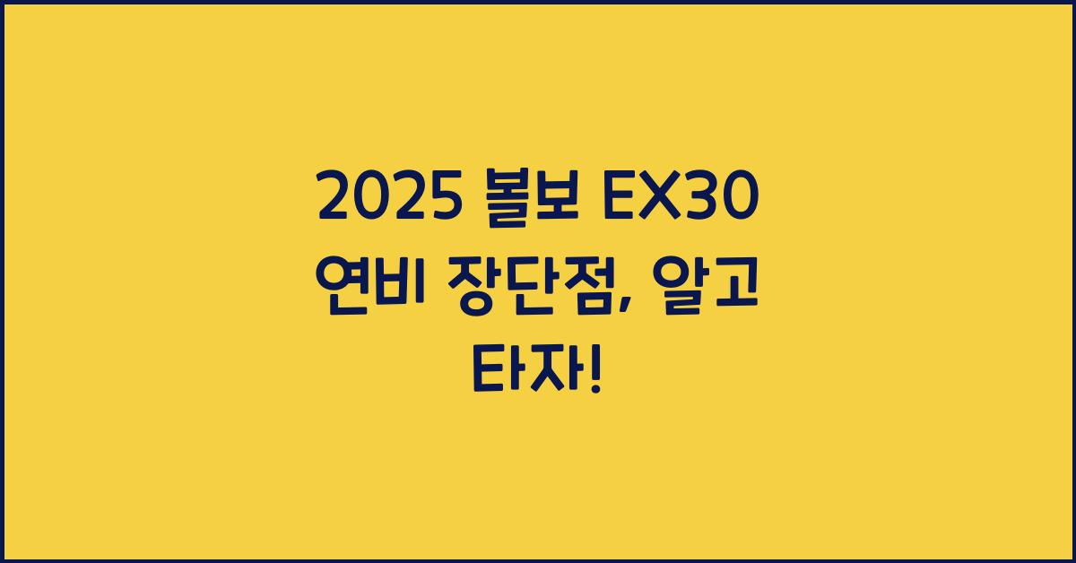 2025 볼보 EX30 연비 장단점