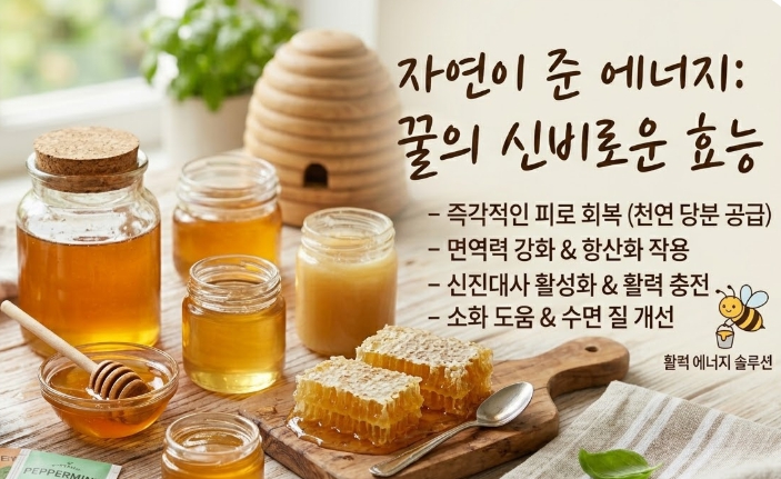 꿀 피로 회복 에너지 식품 효능과 섭취 방법을 설명하는 자연 꿀 이미지