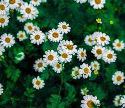 한부모-가정-지원금