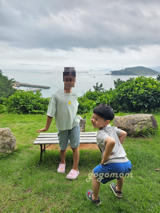 언덕의바람 사진