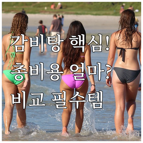 감비탕 환약 가격부터 총 비용까지, ..