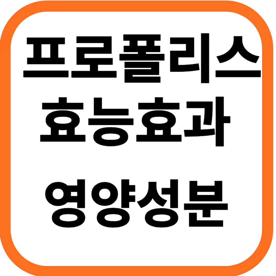 프로폴리스 효능효과 영양성분과 부작용