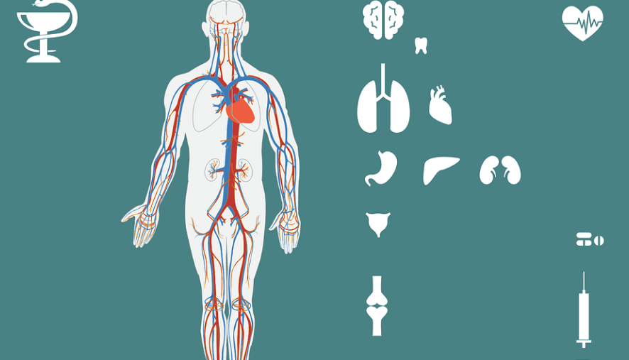 신장이 안 좋으면 나타나는 증상과 신장에 좋은 음식 - 2