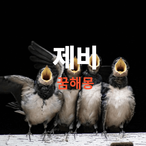 제비 꿈해몽(제비를본꿈, 제비가날아가는꿈, 제비둥지를본꿈, 제비새끼본꿈 )