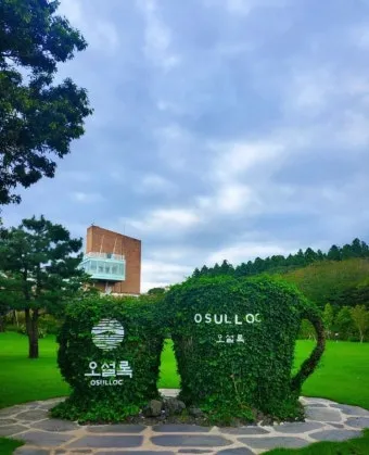 제주 오설록 티뮤지엄 관람 팁과 근처 카페 안내_4