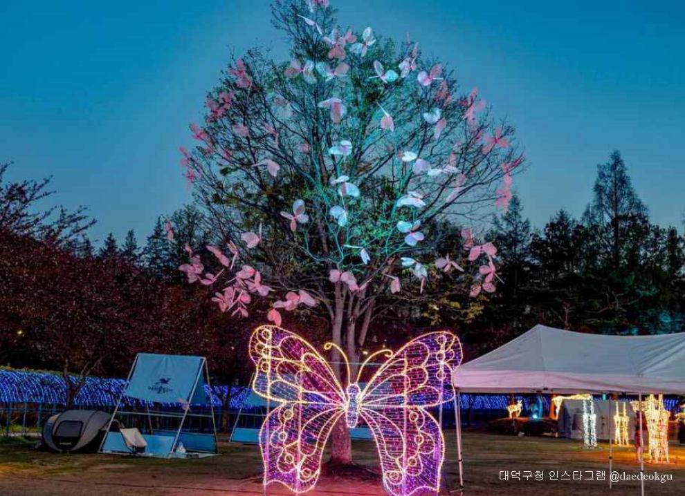 대덕물빛축제