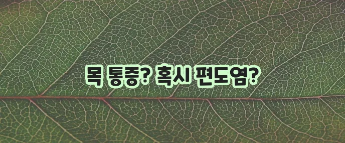 편도염 증상, 꼼꼼히 알아봐야 합니다!