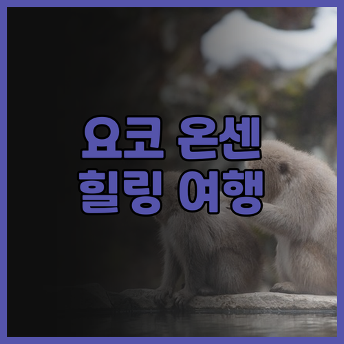 요코 온센 광한 후기 온천과 맛있는 