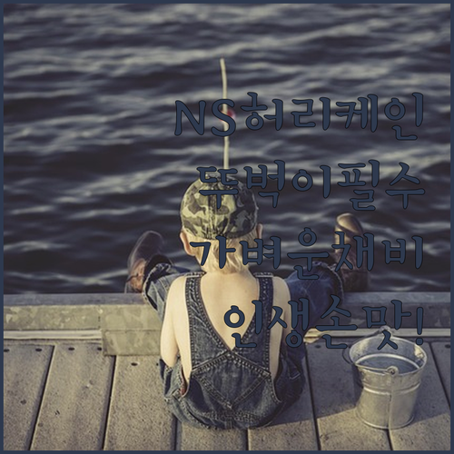 휴대용 낚싯대 NS 허리케인 텔레로 ..