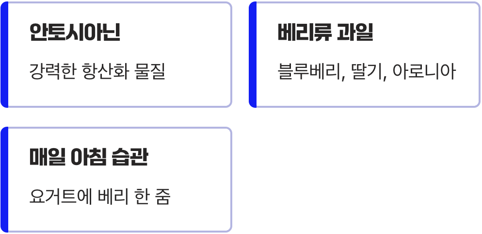 4. 혈관 노화를 막는 방패, 베리류 과일