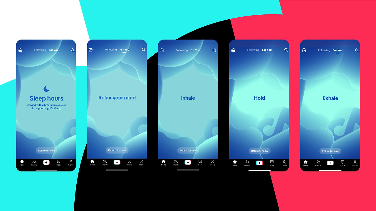 틱톡세이프티페어링