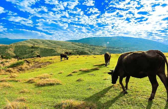 대만 6월 날씨와 옷차림