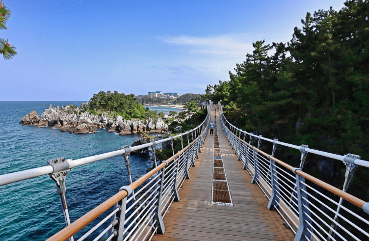 추암해변-출렁다리