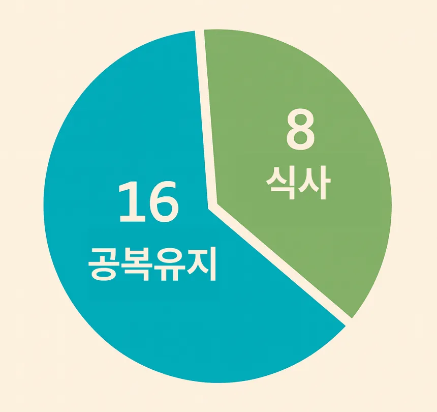 간헐적 단식 시간별 효과