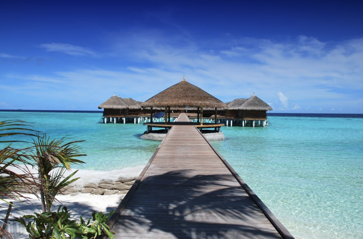 대체공휴일_확정