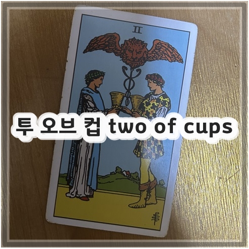 투 오브 컵 two of cups
