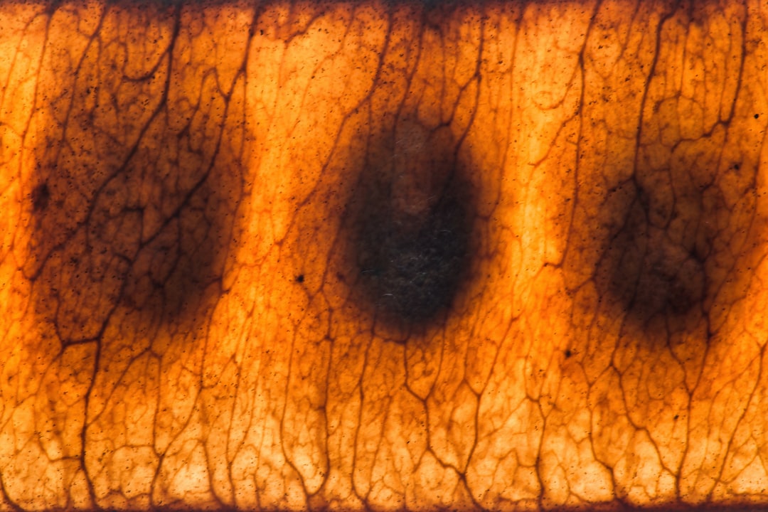 NIR (Near Infrared)