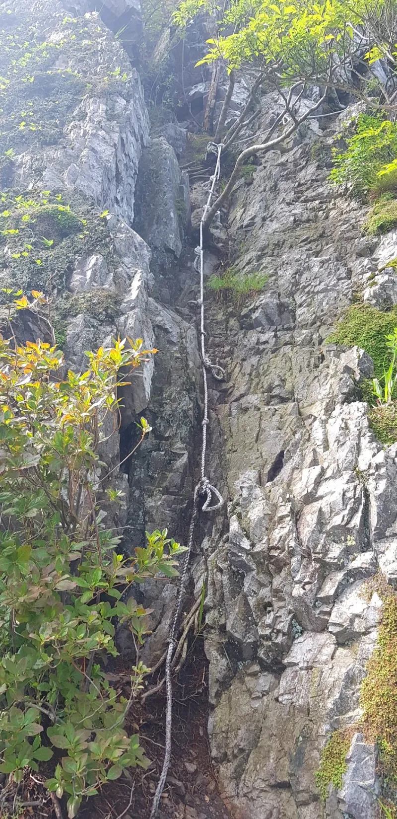 청도 복호산